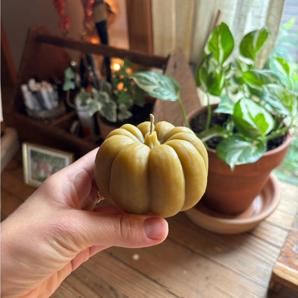 Homemade All-Natural Toxic Free 100% Beeswax Pumpkin Candle